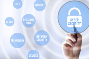 Over 600 universities introduce cybersecurity-related majors: report
