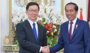 China, Indonesia vow to deepen ties, boost high-speed rail project