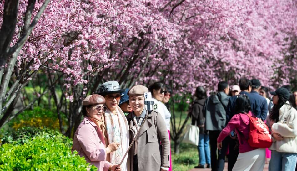 New consumption frontiers energize China's market during Qingming Festival holiday