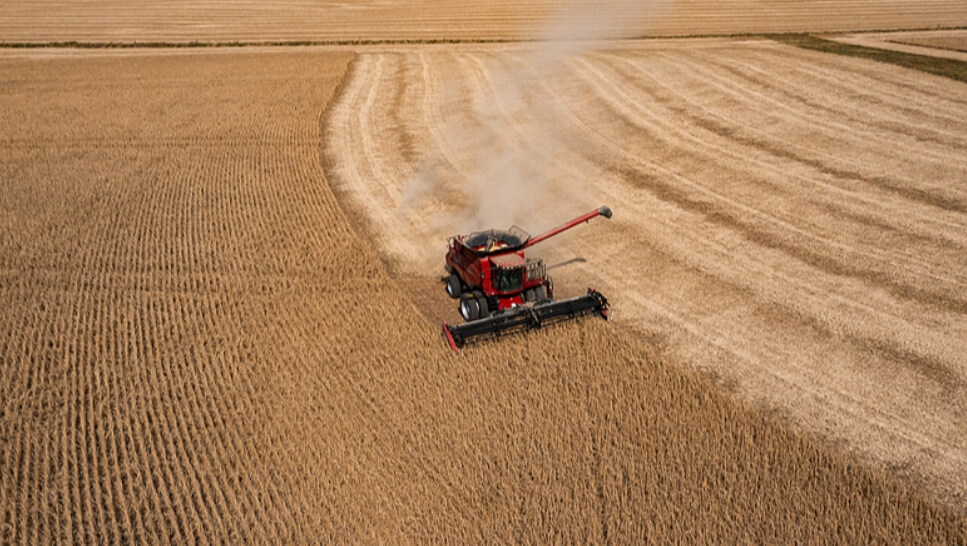 Farmer who voted for Trump begs him to end trade war because he 'feels the pain'