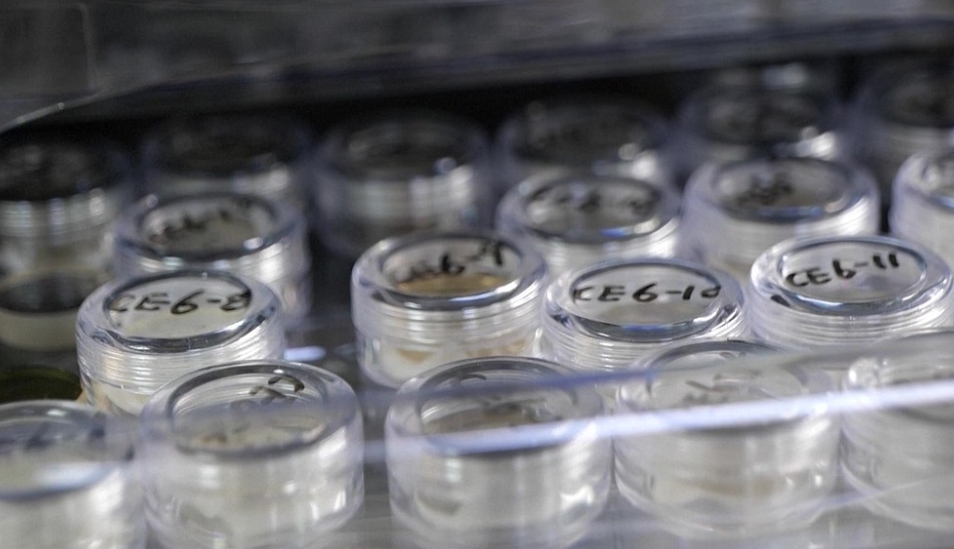 China opens lunar samples to U.S., global scientists
