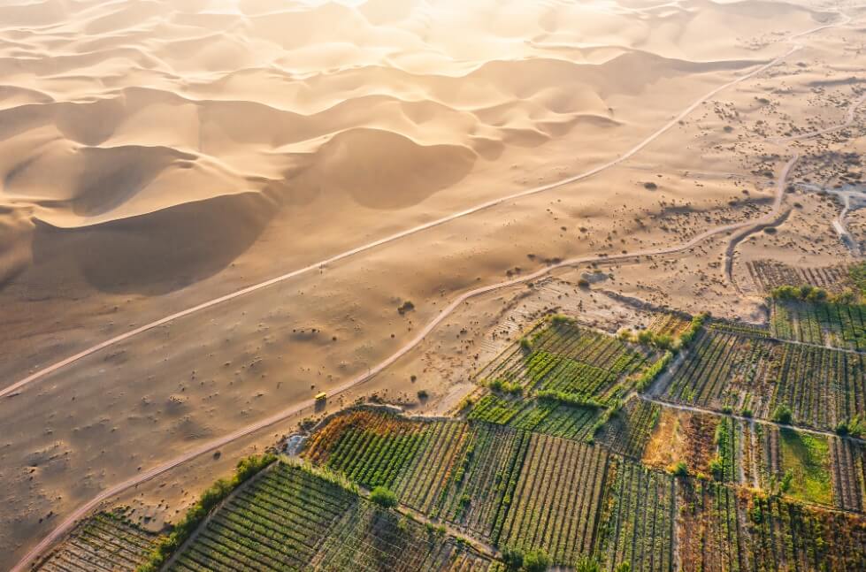 Land restoration unlocks green opportunities