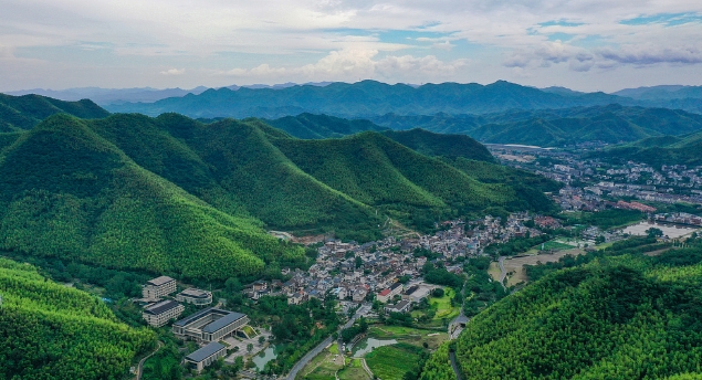 How China's carbon trading market is delivering 'mountains of gold'