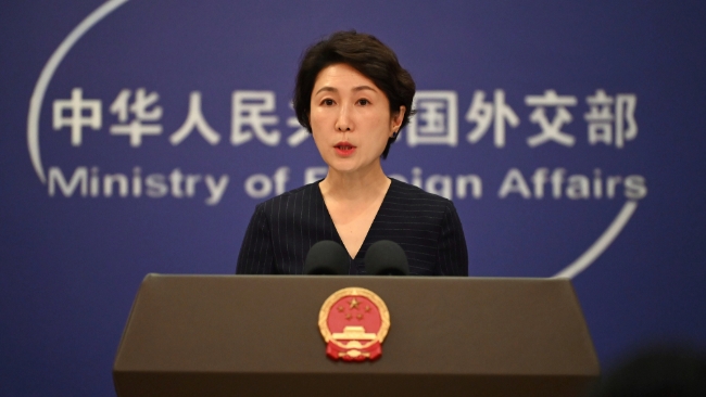 China to work with India to maintain sustained peace, tranquility in border areas